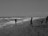 Florida 08 034.jpg